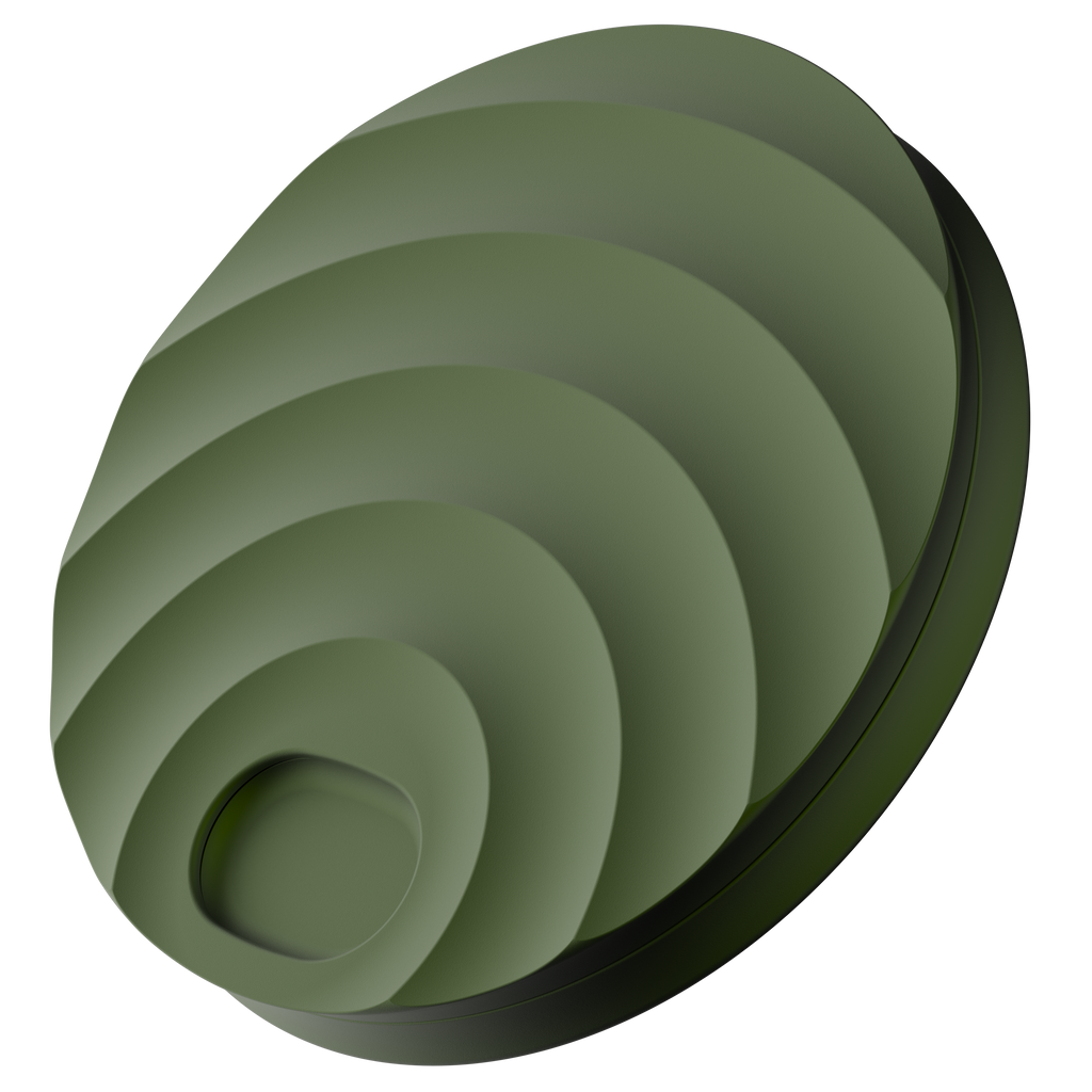 Max Pill Case