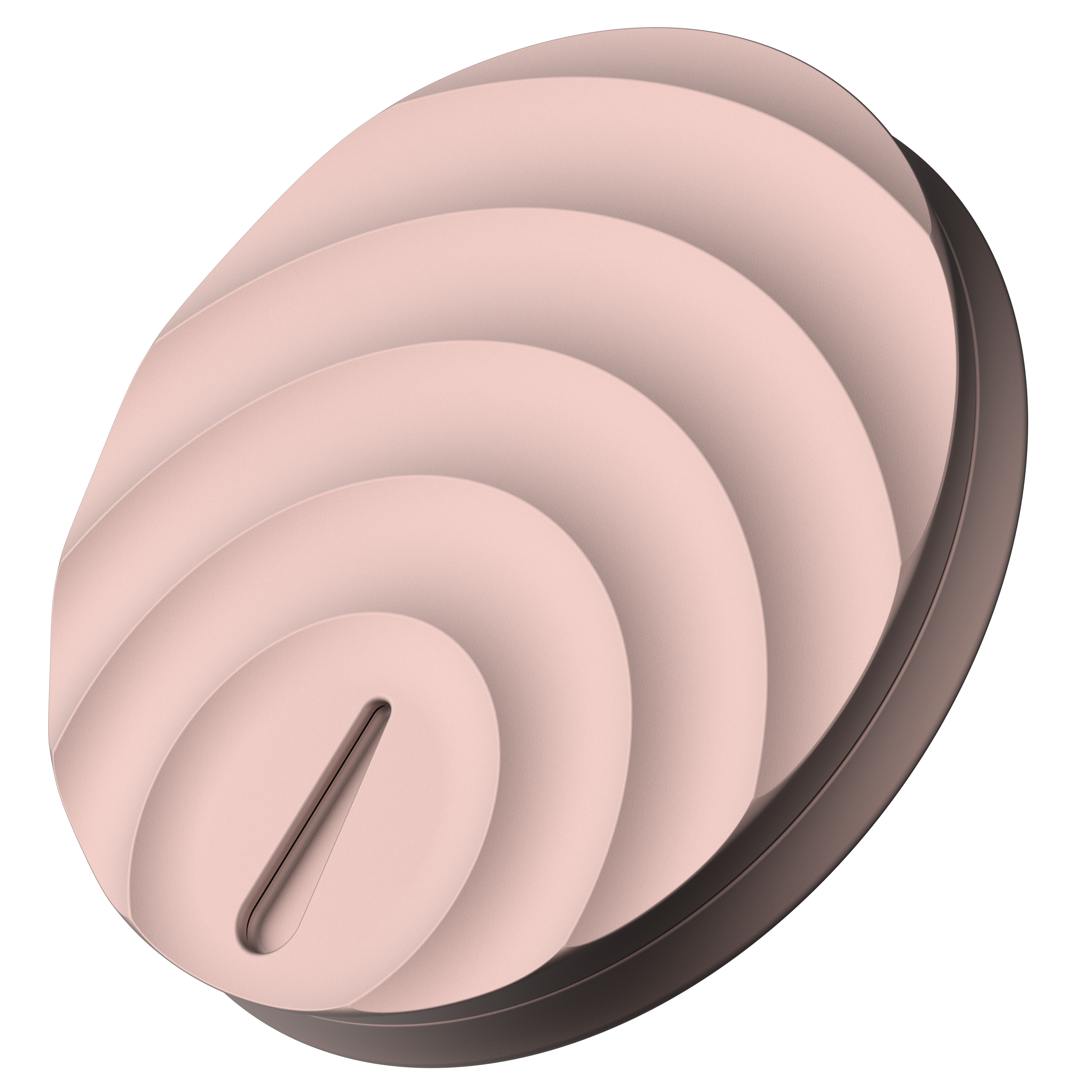 Max Pill Case