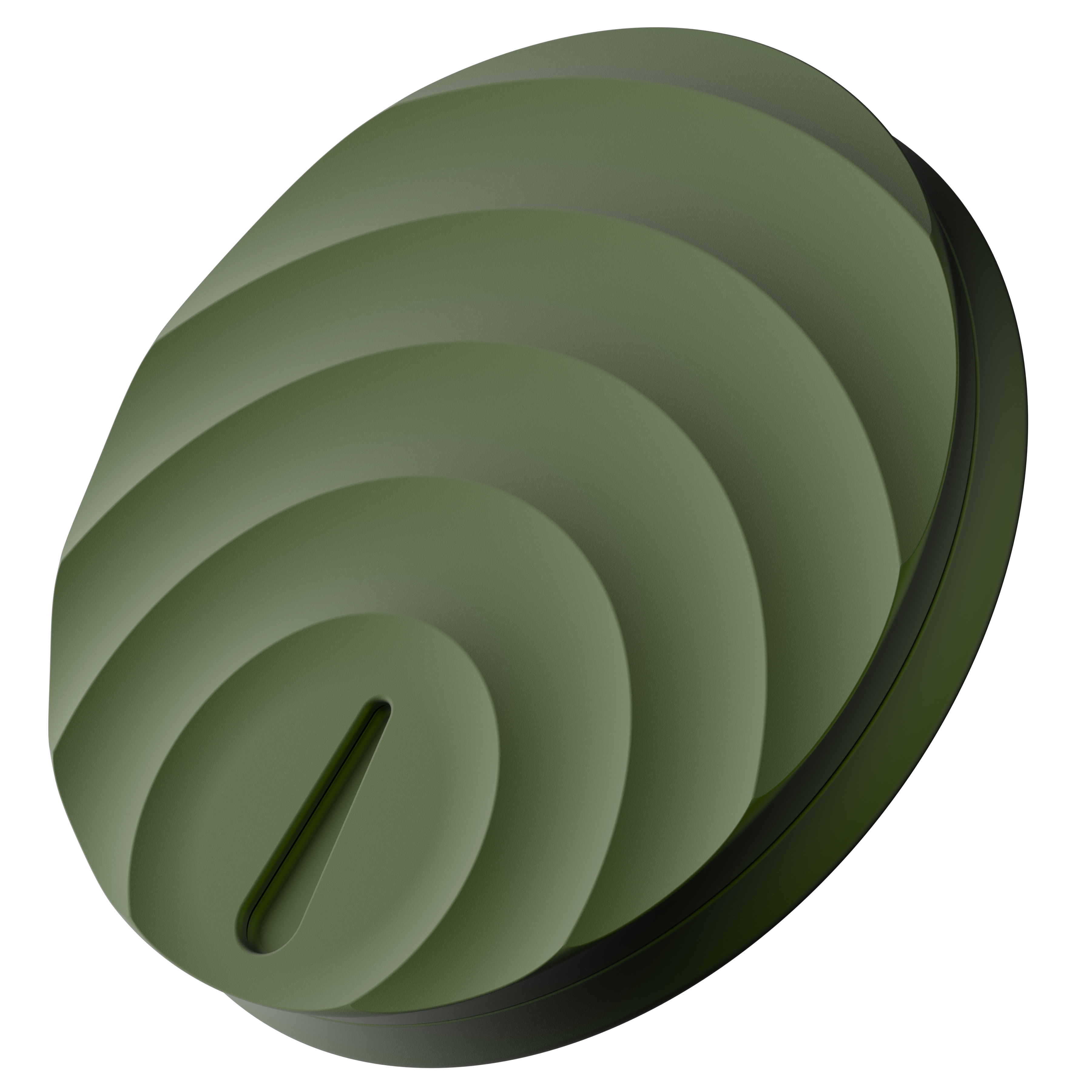 Max Pill Case