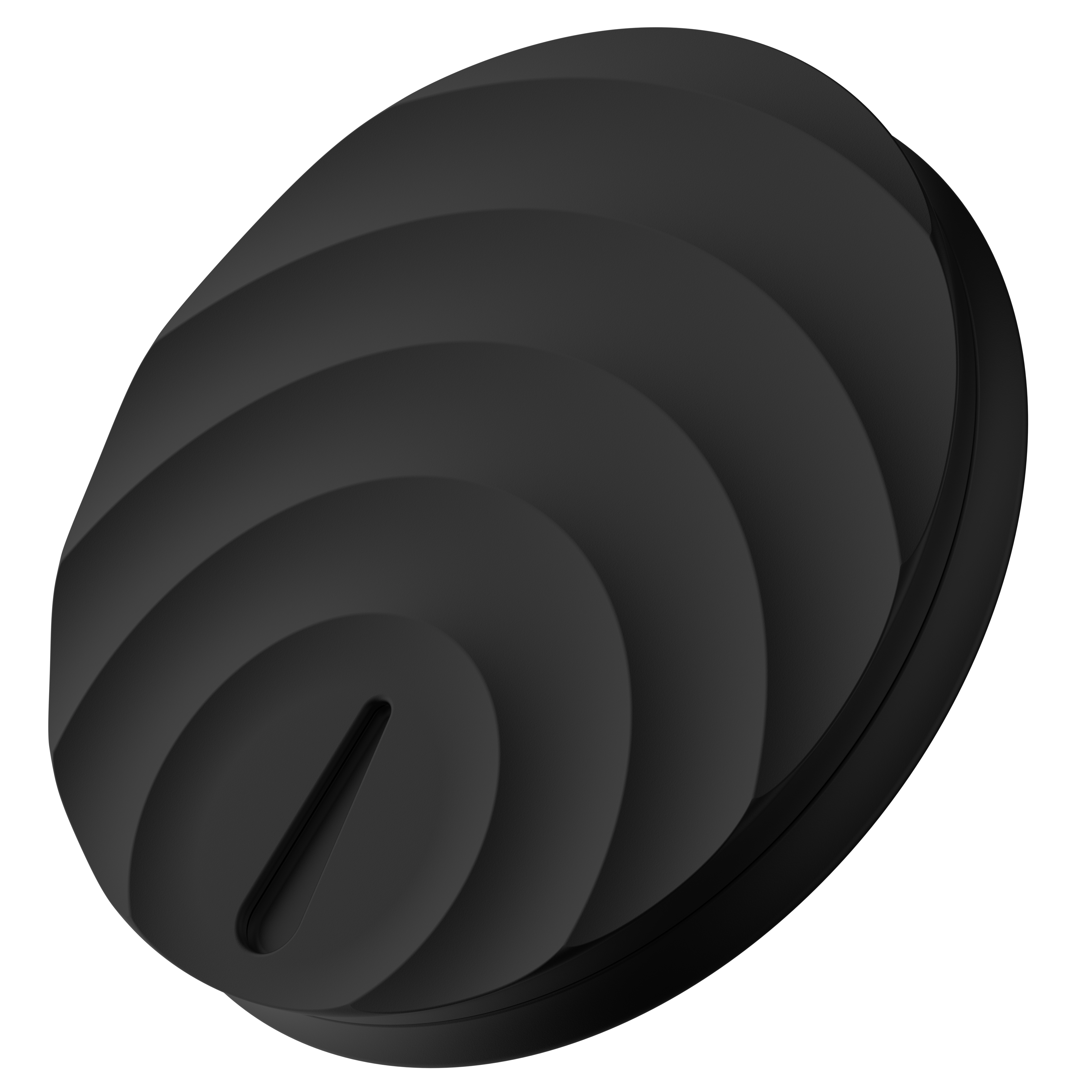Max Pill Case